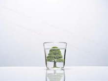 關(guān)于健康水的爭(zhēng)論，不得不戰(zhàn)的純水機(jī)與凈水器